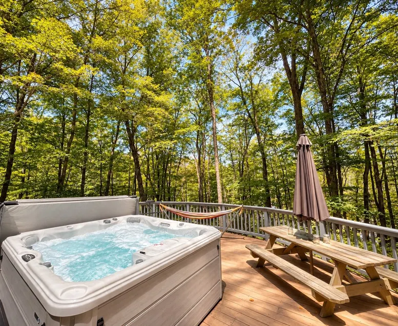 Catskills Memories · Hot Tub·Sauna·Fire Pit·Vinyl - Image 1