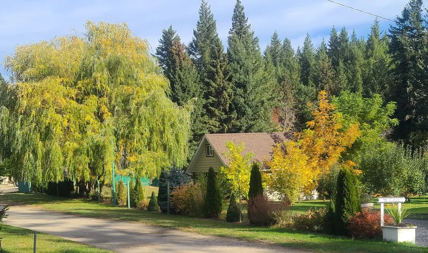 Cozy Cabin, 2 min to the HWY1 - Image 1