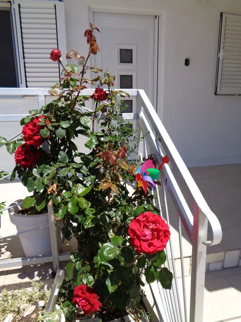 Holiday Home Sunny Retreat - Image 1