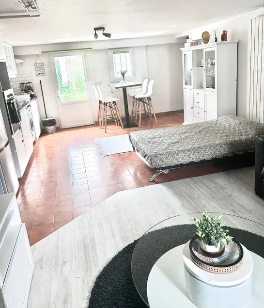 Spacious accommodation, garden, 10 min CDG/Asterix/Paris - Image 1
