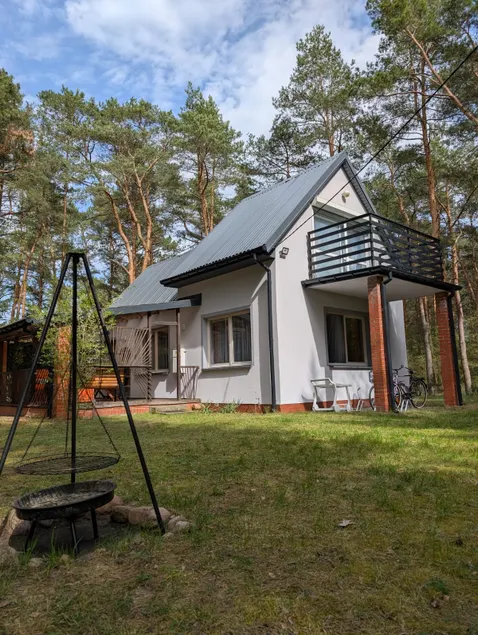 Cottage in a pine forest - Image 1