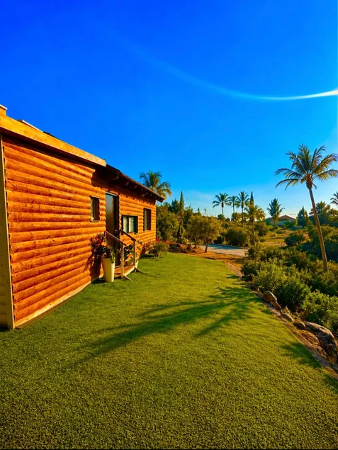 Moshe's Cabin - Image 1