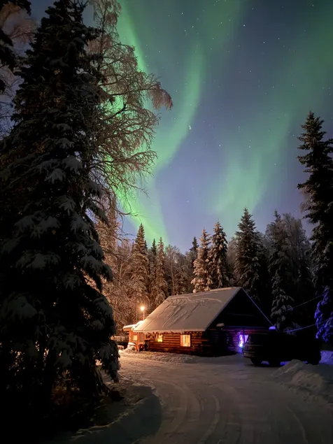 Cozy Cabin in the Woods - Image 1