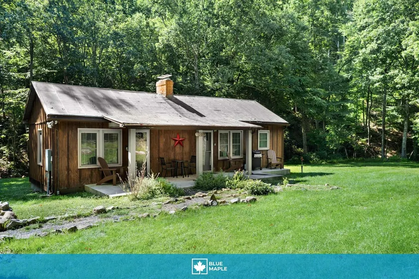River Birch cabin w/hot tub & fire pit - Image 1