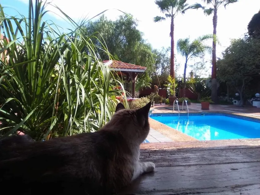 An oasis with private pool - Image 1