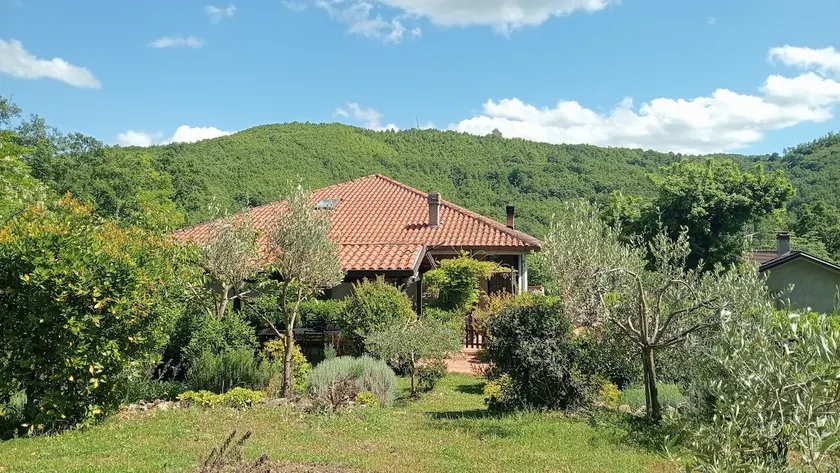 House surrounded by greenery - Image 1