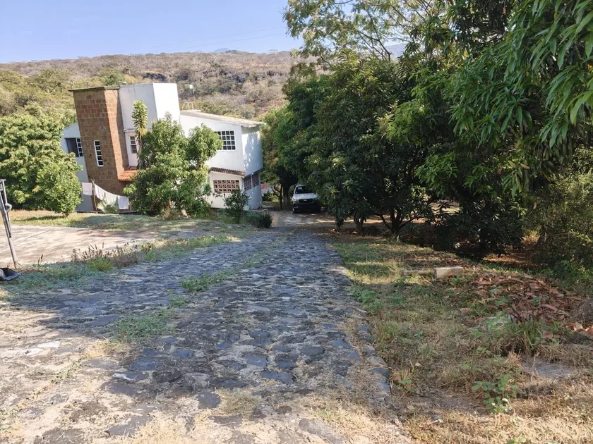 Farm with beautiful natural view of LA JOYA - Image 1