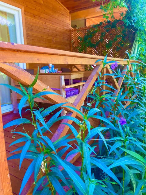 adrasan bright bungalow ev - Image 1