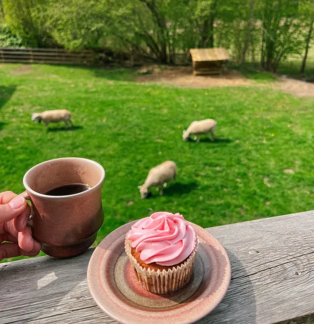 Peaceful oasis with farm animals on Nøtterøy - Image 1