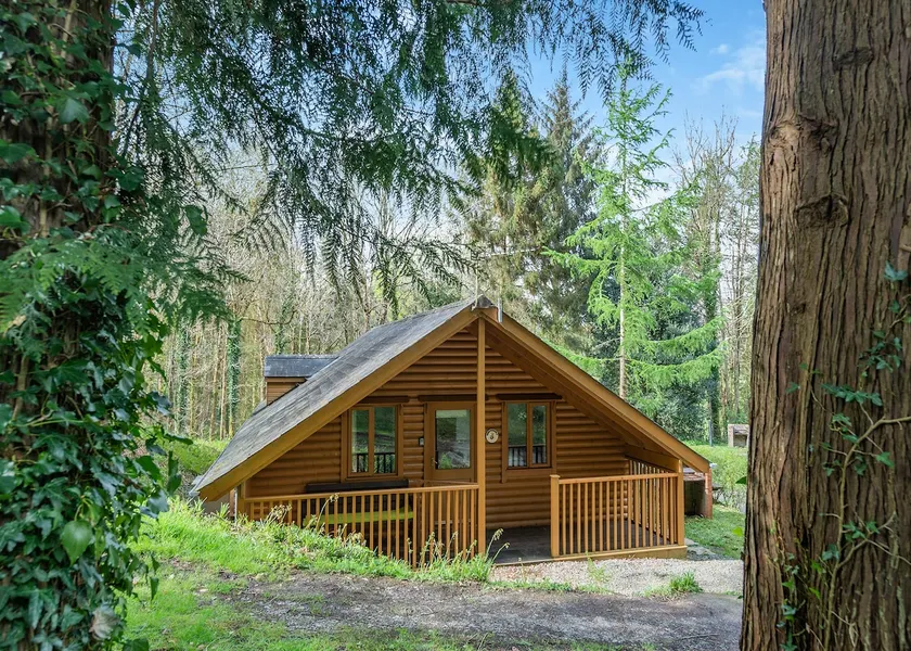 Children-friendly pleasant chalet with jacuzzi & barbecue - Image 1