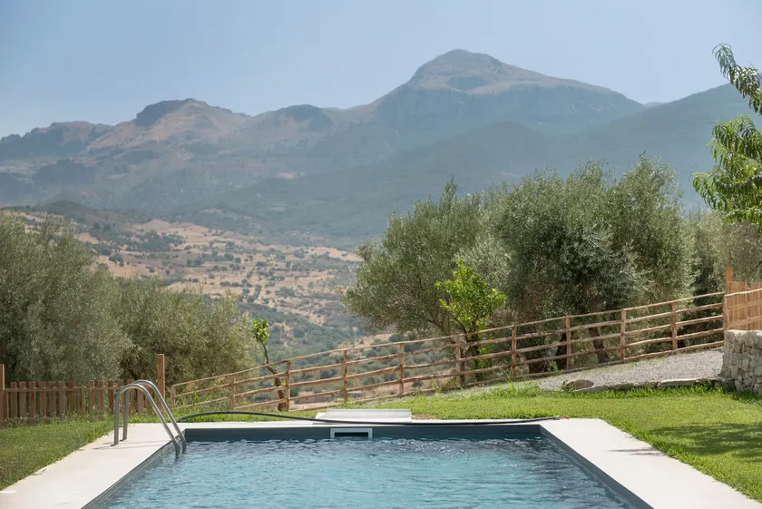 House of Olives - Image 1
