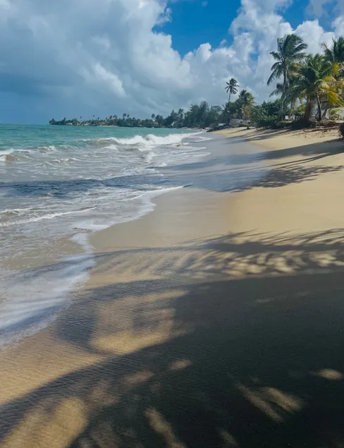 Beach FRONT Apartment in Loiza - Image 1