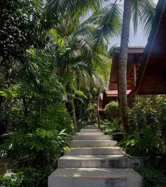 PawPaw Resort - Pool/garden view bungalow 5 - Image 1
