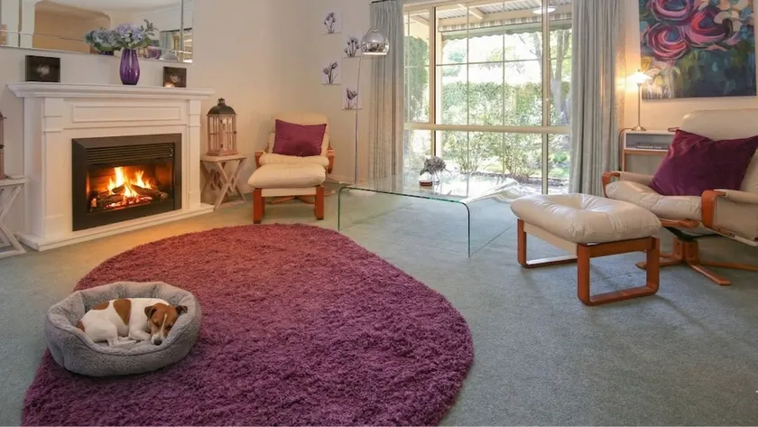 MOUNTAIN THYME - pet friendly comfort - Image 1