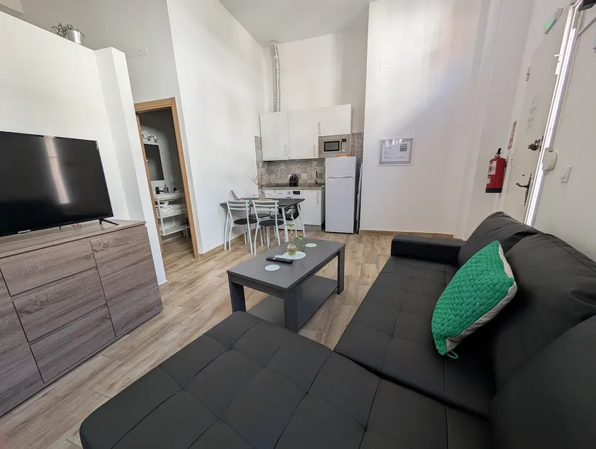 Red Cross Tourist Apartment (B) - Image 1