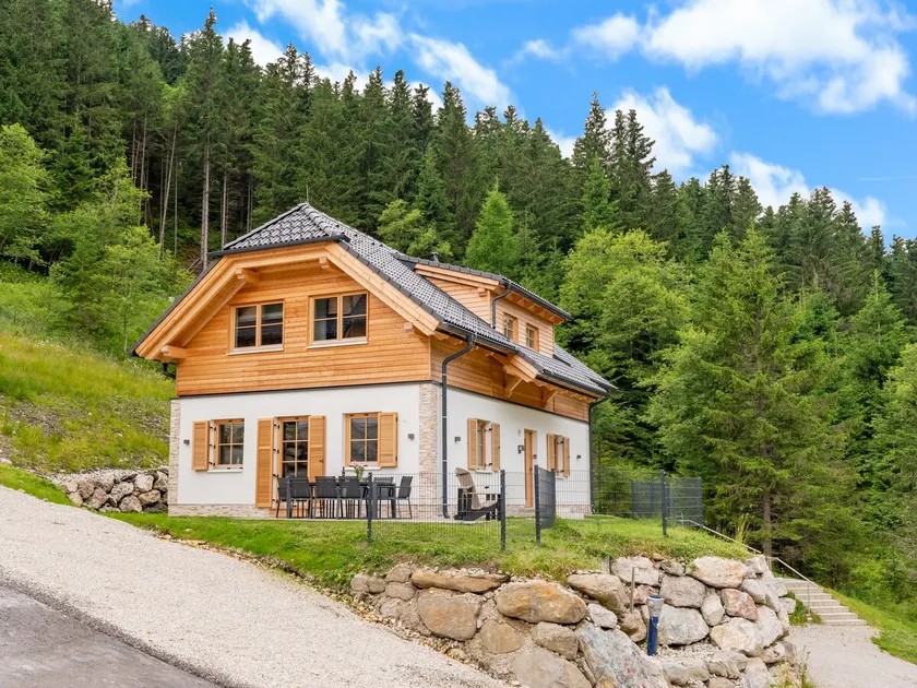 Independent chalet with sauna near the ski lift - Image 1