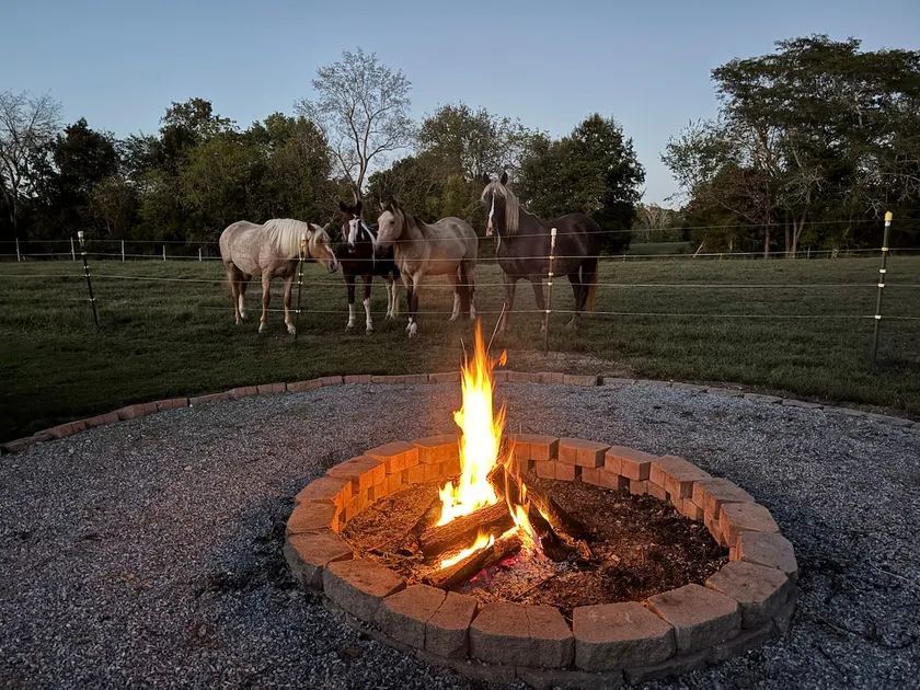 Cozy one bedroom cottage on a horse farm - Image 1