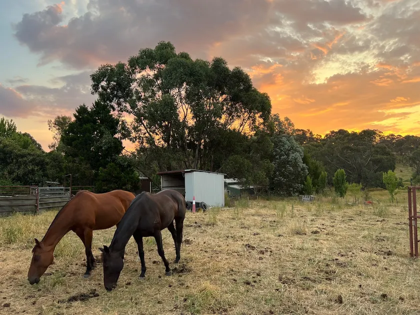 Tumbarumba Creek Cottage - Image 1
