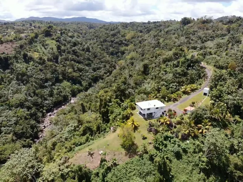 Private Tropical Oasis - Image 1