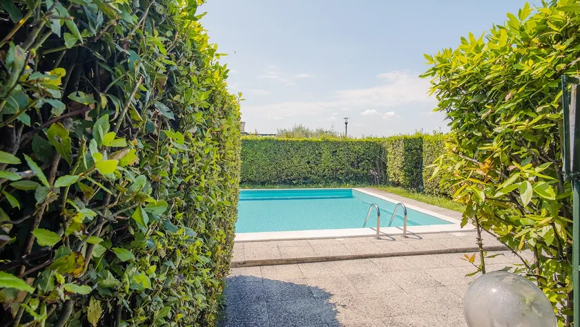 The House in the Vineyard - Italian Homing - Image 1