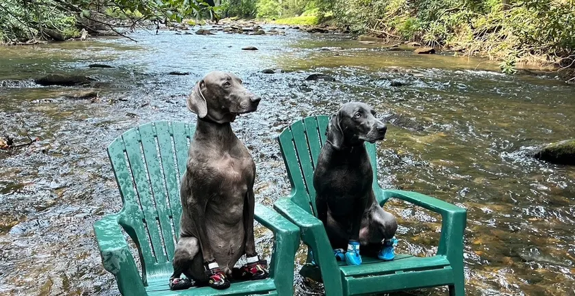 Riverside*FencedYd*No Pet Fee*HotTub*10 Mins to DT - Image 1