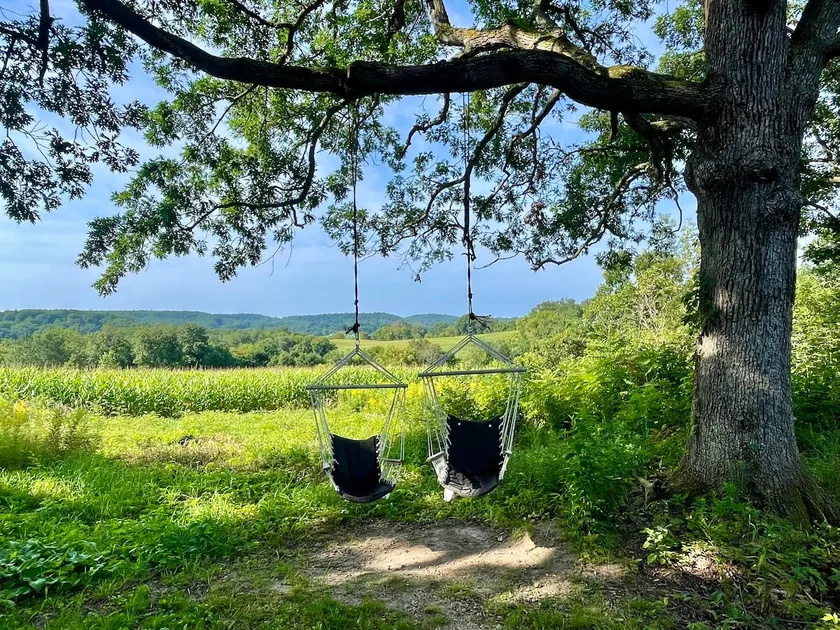 Scenic Views on 20 acres-The Family Cabin awaits! - Image 1