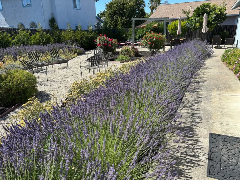 Private Lavender Garden · 3BR Near Travis AFB - Image 1