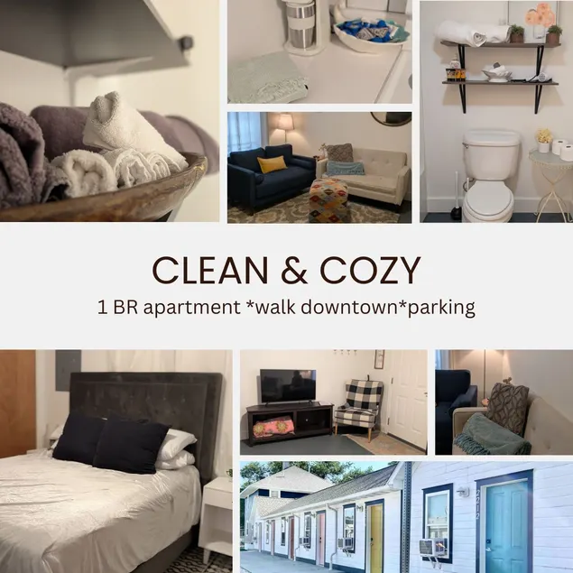 Warm & Cozy 1 BR w/ heated floors near downtown - Image 1