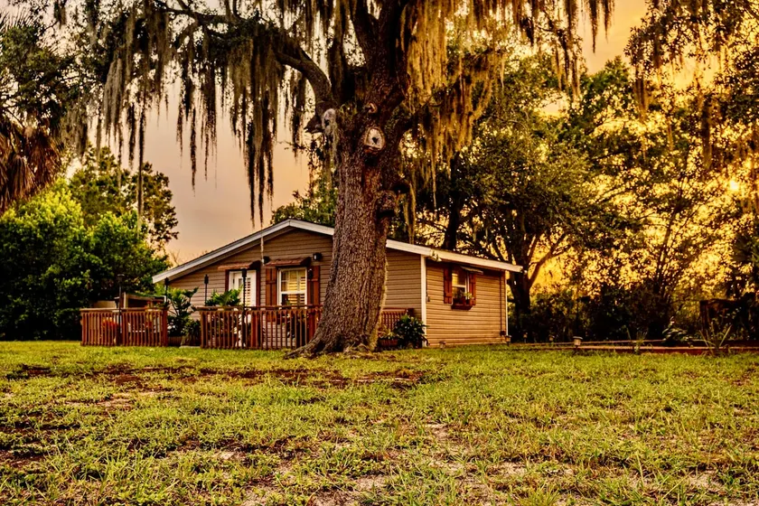 The Lake Alfred Citrus Wood Guest Cabin - Image 1