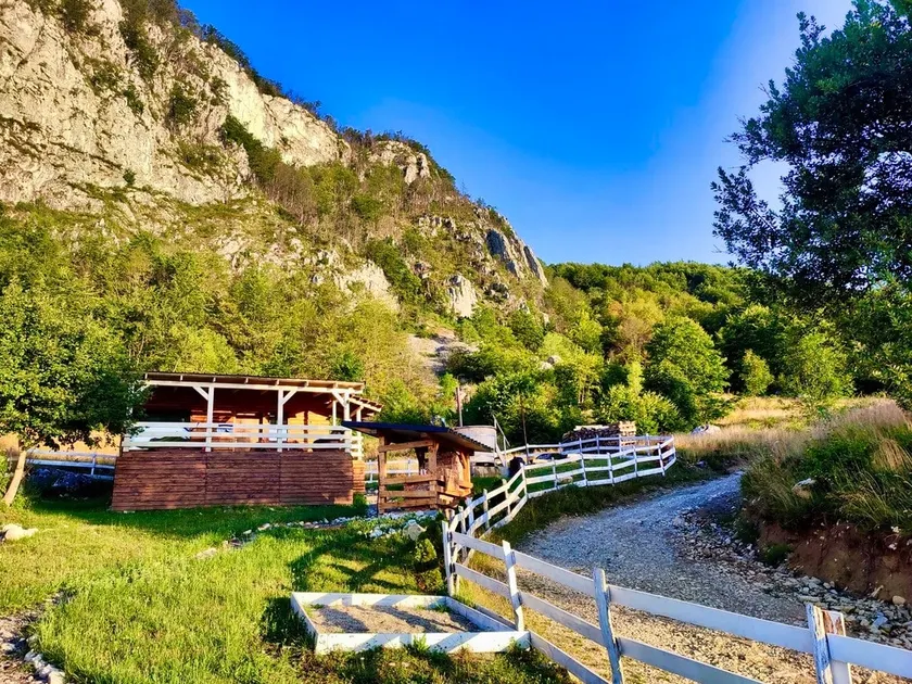 HimalayaLodge chalet with a 1000m elevation Apuseni - Image 1