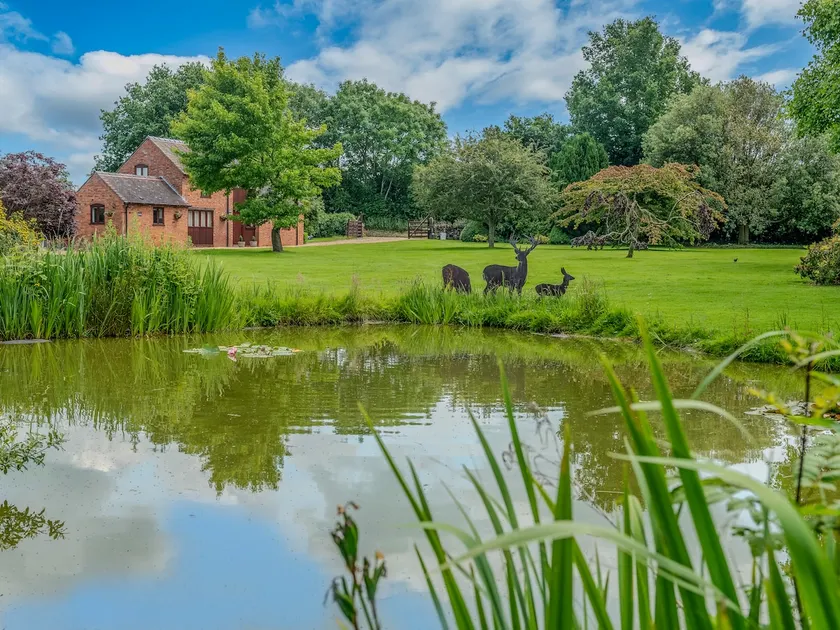 The Owl House - Hot Tub Adventures in Moreton - Image 1