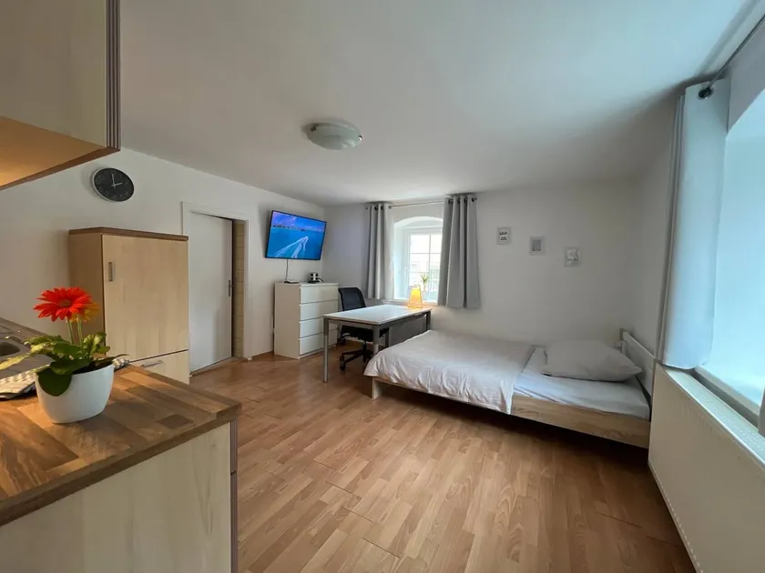 Micro apartment with kitchen, near Center - Image 1