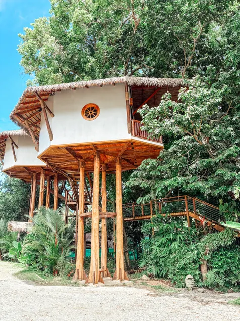 Treehouse Experience at Fuego Brewery in Dominical - Image 1
