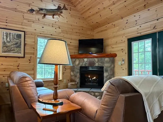 Riverfront Cabin : The Cozy Brown Trout Lodge - Image 1