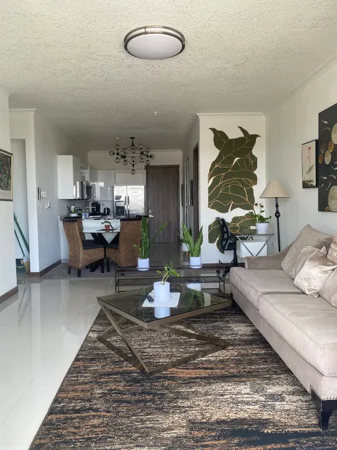 Spacious,modern apartment in the heart of Kingston - Image 1