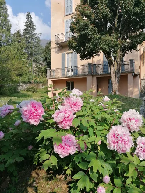 splendid Tremezzina is waiting for you! - Image 1