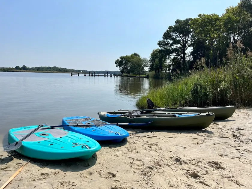 Eastern Neck Water Paradise w/Brick oven & Beach - Image 1
