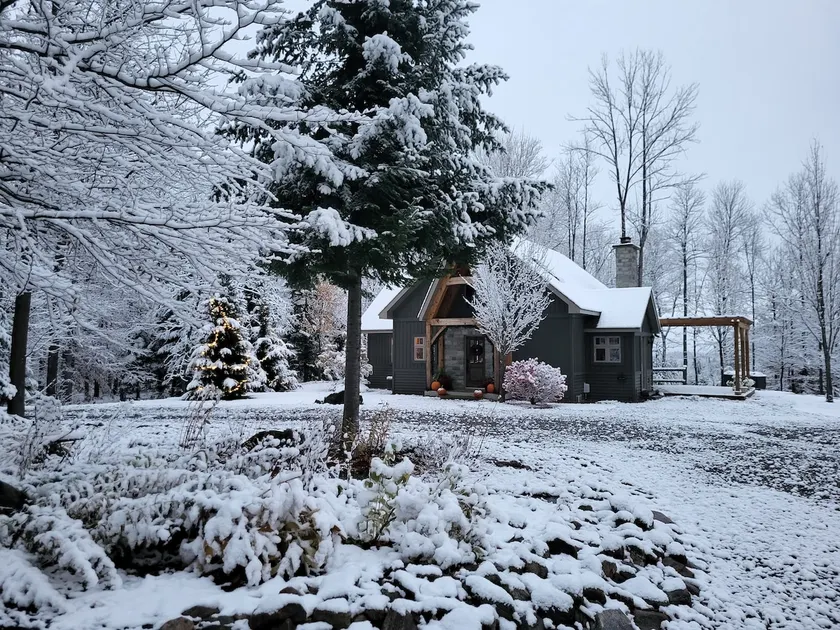 Enjoy Winter Season Timber Cottage near Algonquin - Image 1