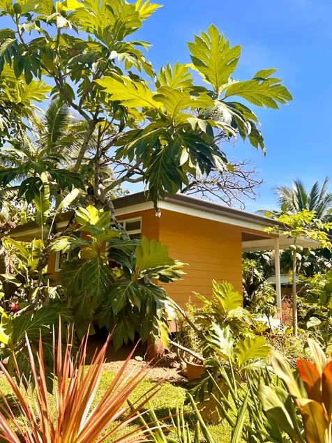 Tumu Me'i Surf Bungalow - Papenoo - Image 1