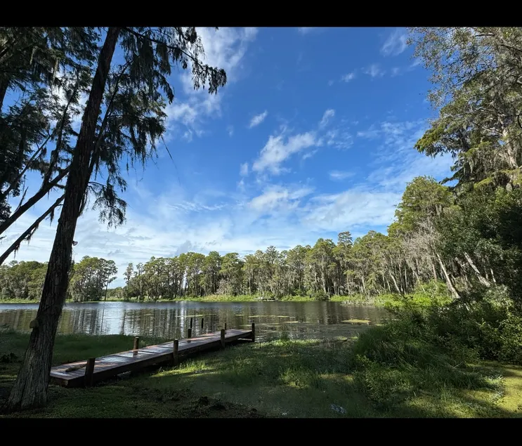 Secluded Lakefront Home with Dock - Image 1