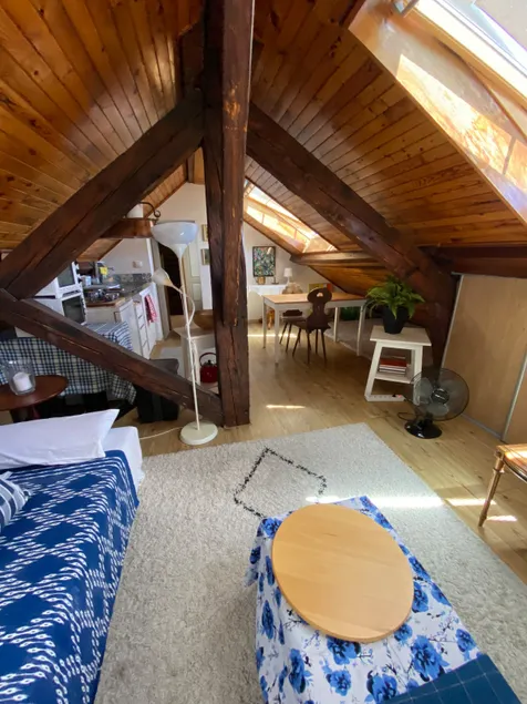 Cozy Attic in the old town of Ferney Voltaire - Image 1