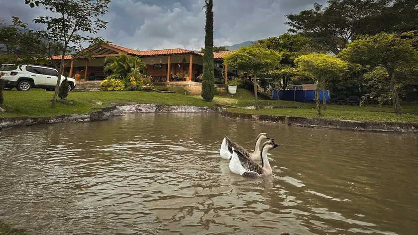 Country House and Swimming Pool in Tablones, Palmira. - Image 1