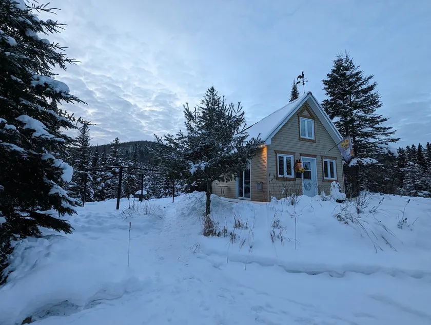 Ô p'tit boisé chalet - Image 1