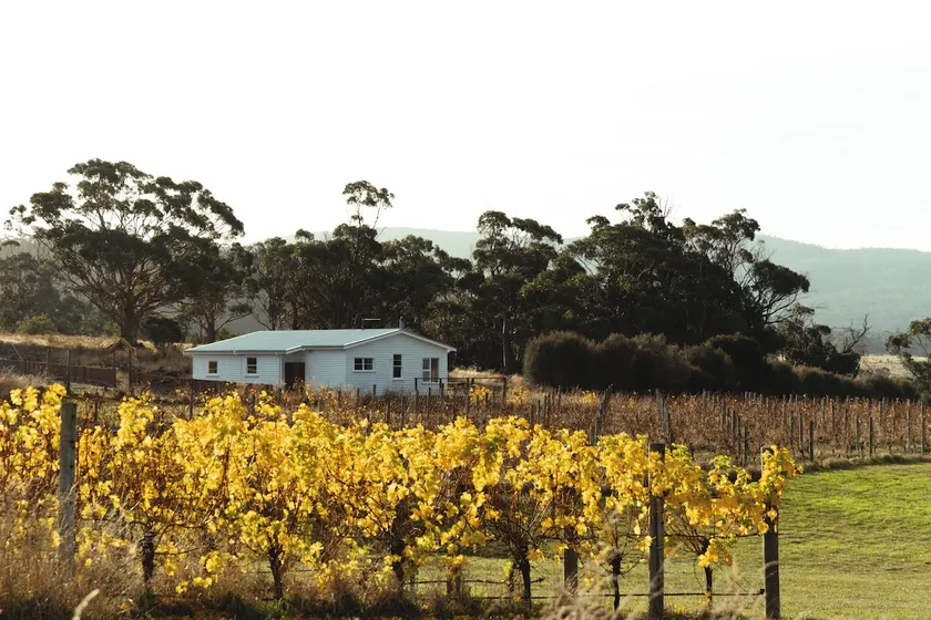 Pip's Place · Lisdillon Coastal Estate - Image 1
