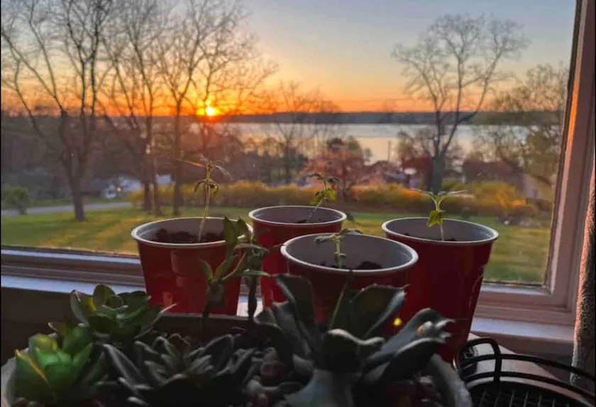 Amazing Lake View, Only 200m to Butler Beach! - Image 1