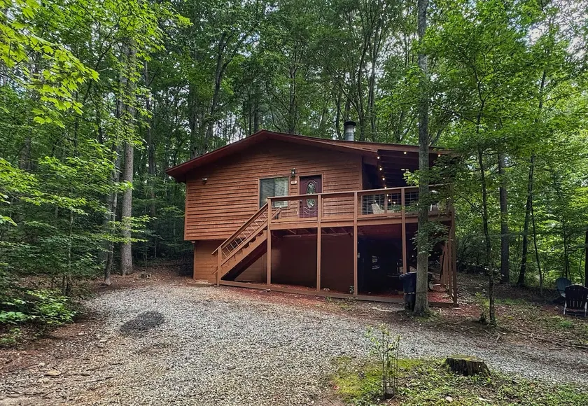 Cabin Fever Cabin~dog friendly~10 mins to Helen - Image 1