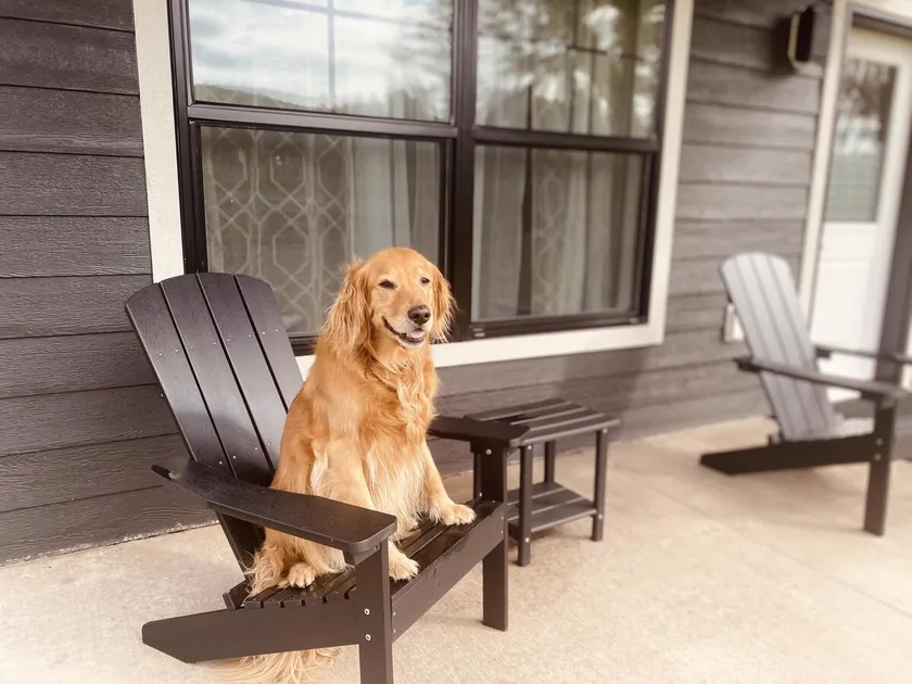 Shoreline Retreat House - Image 1