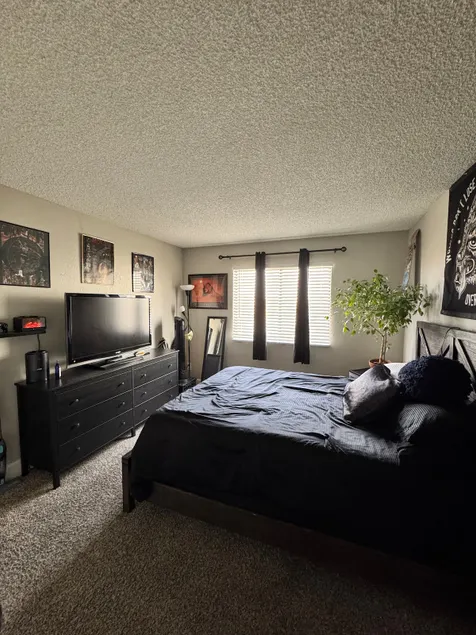 *Glendale Aesthetic Apartment* - Image 1