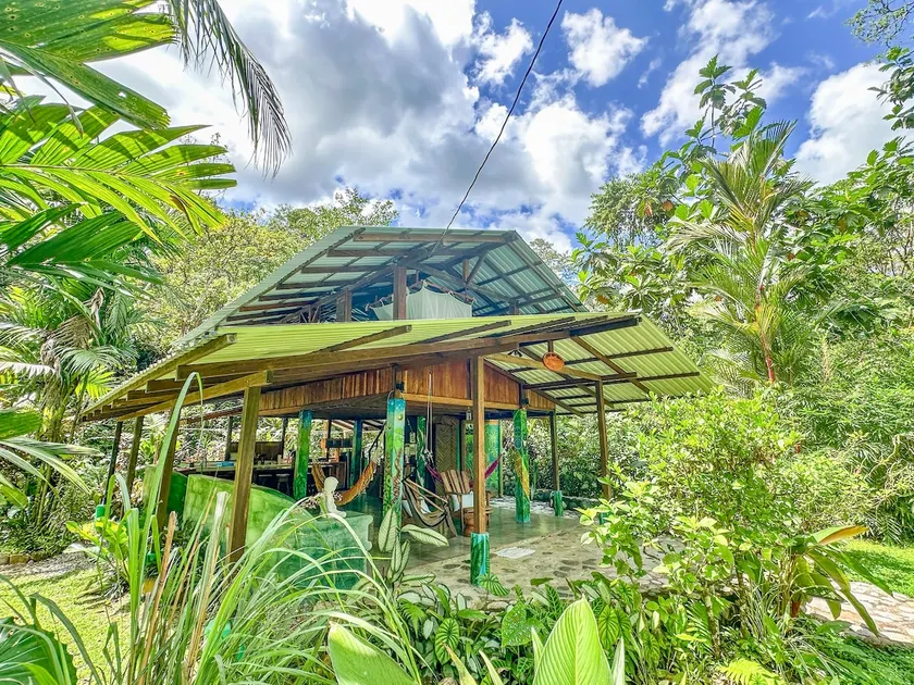 An immersive experience in the Osa rainforest - Image 1