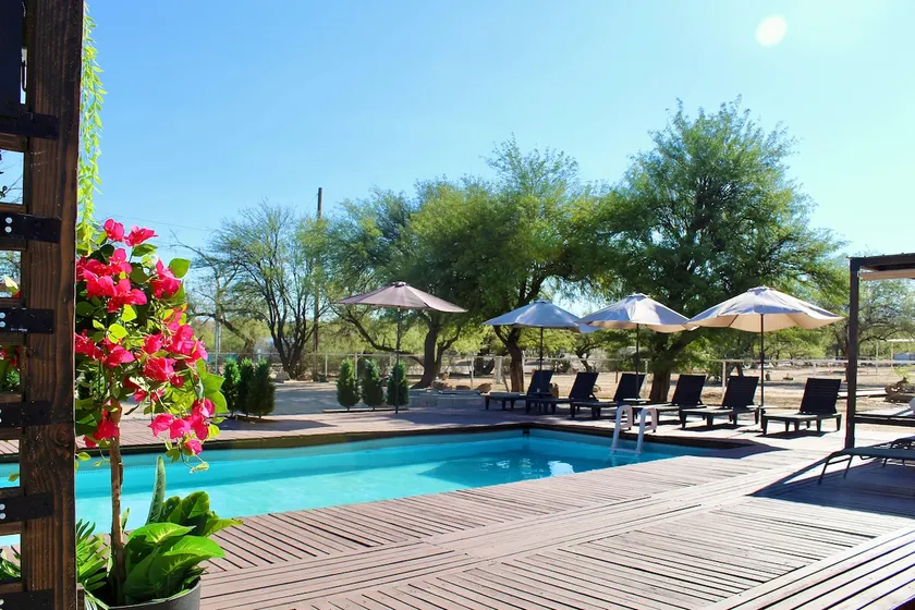 Peaceful Home in Tucson - Image 1